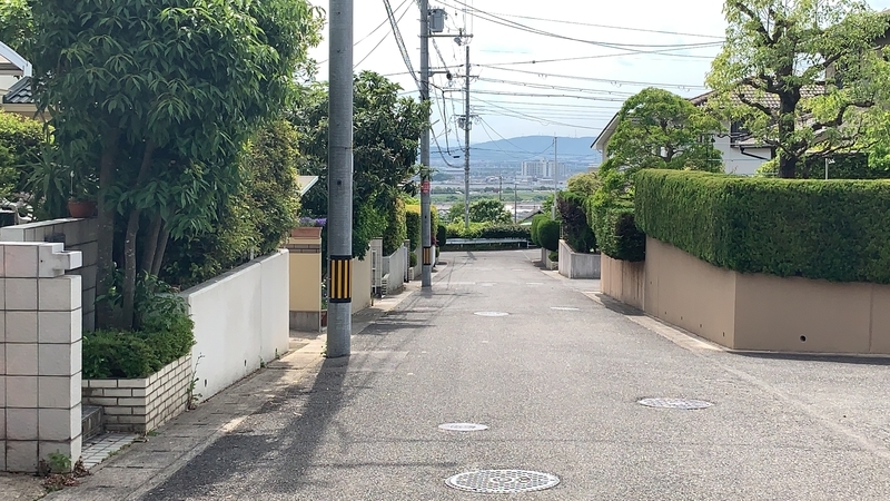 f:id:laquari:20190613201155j:plain f:id:laquari:20190613201155j:plain