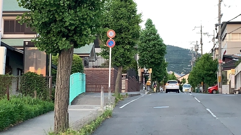 f:id:laquari:20190613201157j:plain f:id:laquari:20190613201157j:plain