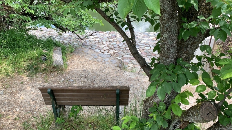 f:id:laquari:20190613201200j:plain f:id:laquari:20190613201200j:plain