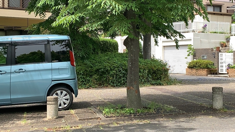 f:id:laquari:20190620081030j:plain f:id:laquari:20190620081030j:plain
