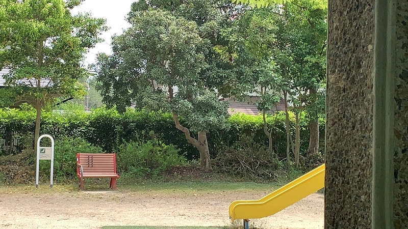 f:id:laquari:20190620081038j:plain f:id:laquari:20190620081038j:plain