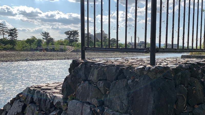 f:id:laquari:20190620081340j:plain f:id:laquari:20190620081340j:plain