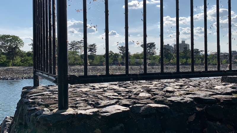 f:id:laquari:20190620081347j:plain f:id:laquari:20190620081347j:plain