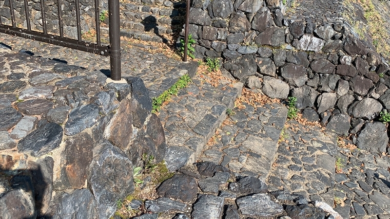 f:id:laquari:20190620081413j:plain f:id:laquari:20190620081413j:plain