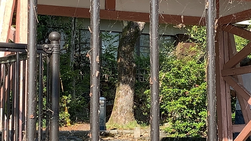 f:id:laquari:20190620081421j:plain f:id:laquari:20190620081421j:plain