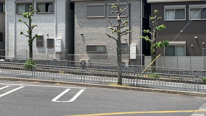 f:id:laquari:20190620081456j:plain f:id:laquari:20190620081456j:plain