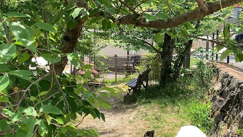f:id:laquari:20190620083651j:plain f:id:laquari:20190620083651j:plain