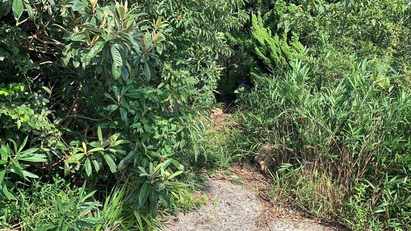 f:id:laquari:20190913121833j:plain f:id:laquari:20190913121833j:plain