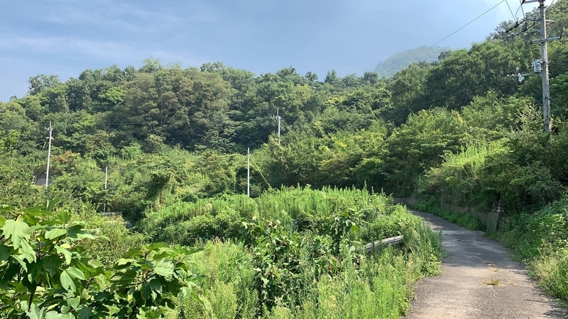 f:id:laquari:20190913122010j:plain f:id:laquari:20190913122010j:plain