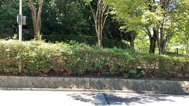 f:id:laquari:20191008211345j:plain f:id:laquari:20191008211345j:plain