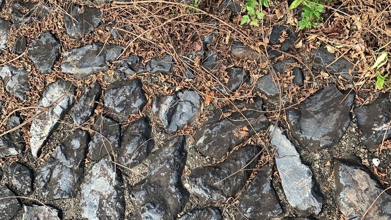 f:id:laquari:20191009182756j:plain f:id:laquari:20191009182756j:plain