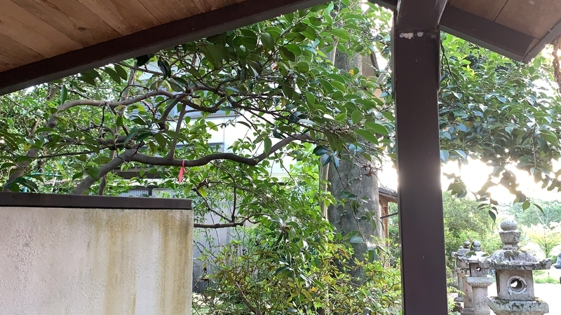 f:id:laquari:20191010114231j:plain f:id:laquari:20191010114231j:plain