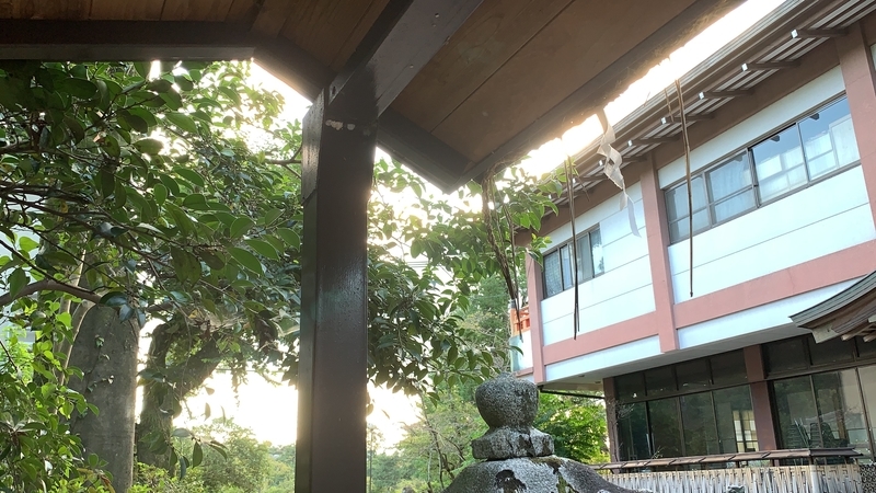 f:id:laquari:20191010114249j:plain f:id:laquari:20191010114249j:plain