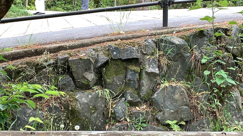 f:id:laquari:20191011121833j:plain f:id:laquari:20191011121833j:plain