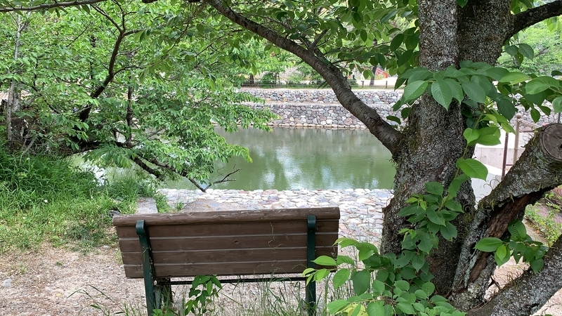 f:id:laquari:20191011121852j:plain f:id:laquari:20191011121852j:plain