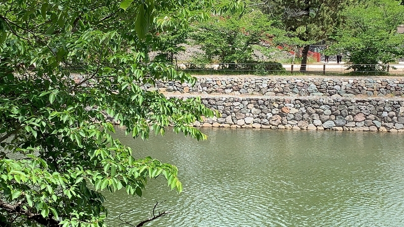 f:id:laquari:20191011121901j:plain f:id:laquari:20191011121901j:plain