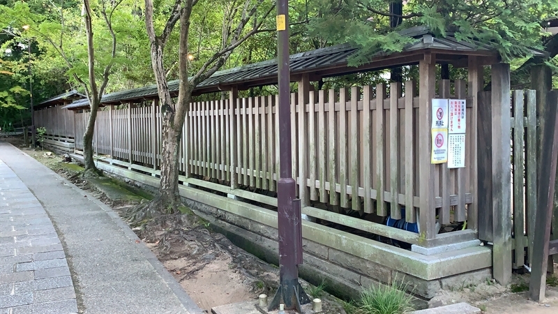f:id:laquari:20191011122009j:plain f:id:laquari:20191011122009j:plain