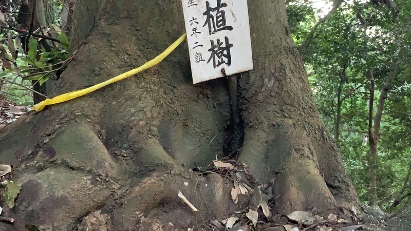 f:id:laquari:20191011122108j:plain f:id:laquari:20191011122108j:plain