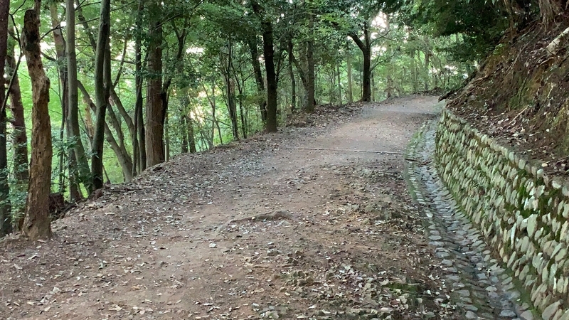 f:id:laquari:20191011122114j:plain f:id:laquari:20191011122114j:plain