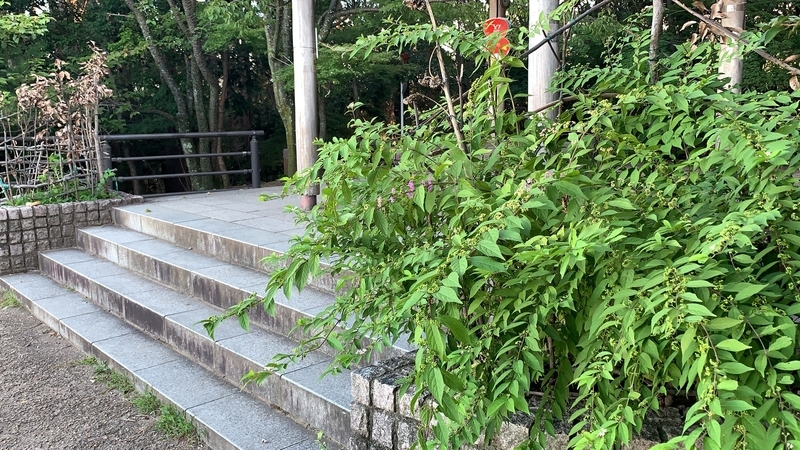f:id:laquari:20191011122238j:plain f:id:laquari:20191011122238j:plain