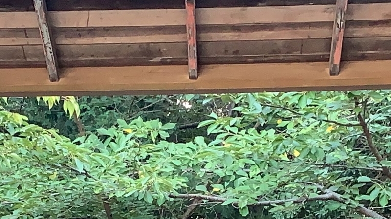 f:id:laquari:20191011122253j:plain f:id:laquari:20191011122253j:plain