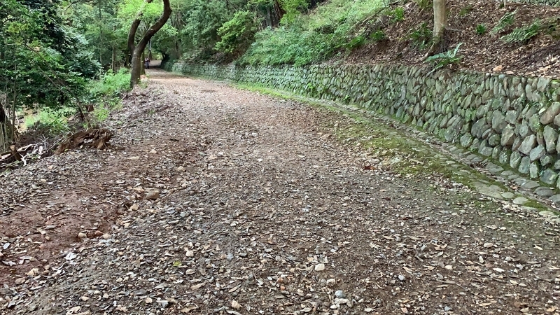 f:id:laquari:20191011122350j:plain f:id:laquari:20191011122350j:plain