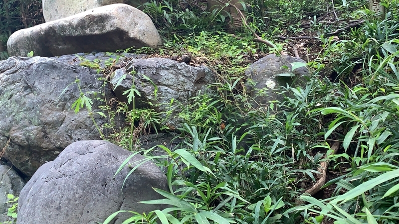 f:id:laquari:20191011122407j:plain f:id:laquari:20191011122407j:plain
