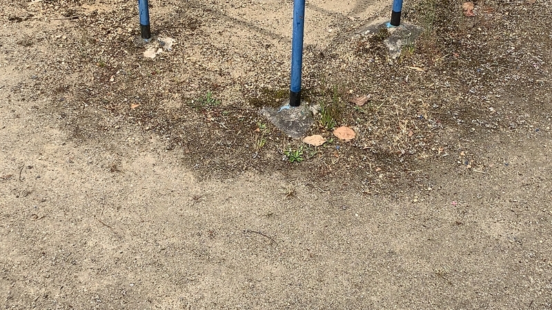 f:id:laquari:20191013183006j:plain f:id:laquari:20191013183006j:plain