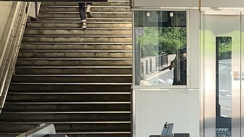 f:id:laquari:20191014125029j:plain f:id:laquari:20191014125029j:plain