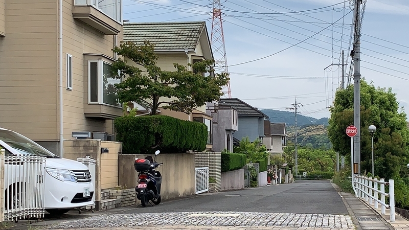 f:id:laquari:20191014125101j:plain f:id:laquari:20191014125101j:plain