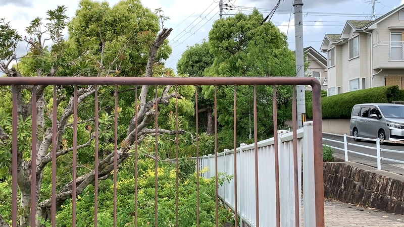 f:id:laquari:20191014125235j:plain f:id:laquari:20191014125235j:plain