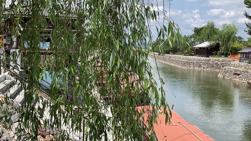 f:id:laquari:20191015185230j:plain f:id:laquari:20191015185230j:plain
