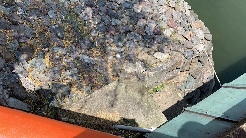 f:id:laquari:20191015185240j:plain f:id:laquari:20191015185240j:plain