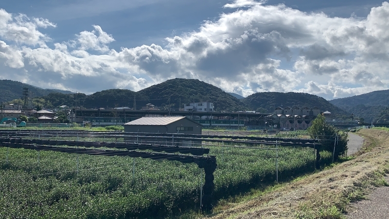 f:id:laquari:20191017115406j:plain f:id:laquari:20191017115406j:plain