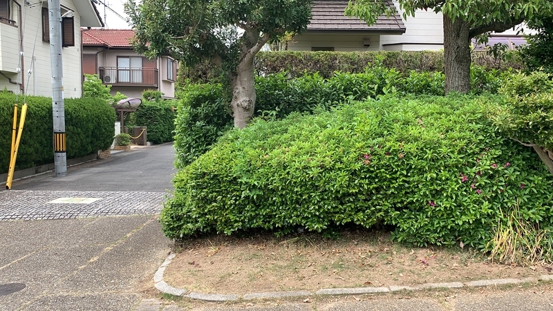 f:id:laquari:20191017115655j:plain f:id:laquari:20191017115655j:plain