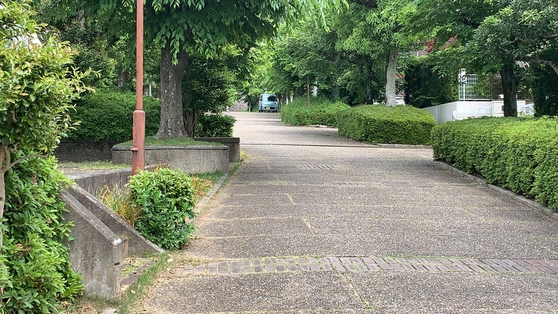 f:id:laquari:20191017115733j:plain f:id:laquari:20191017115733j:plain