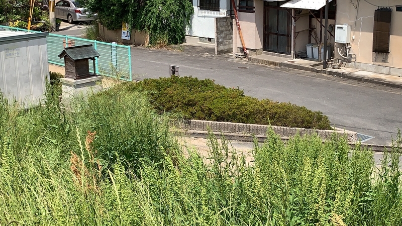 f:id:laquari:20191017115901j:plain f:id:laquari:20191017115901j:plain