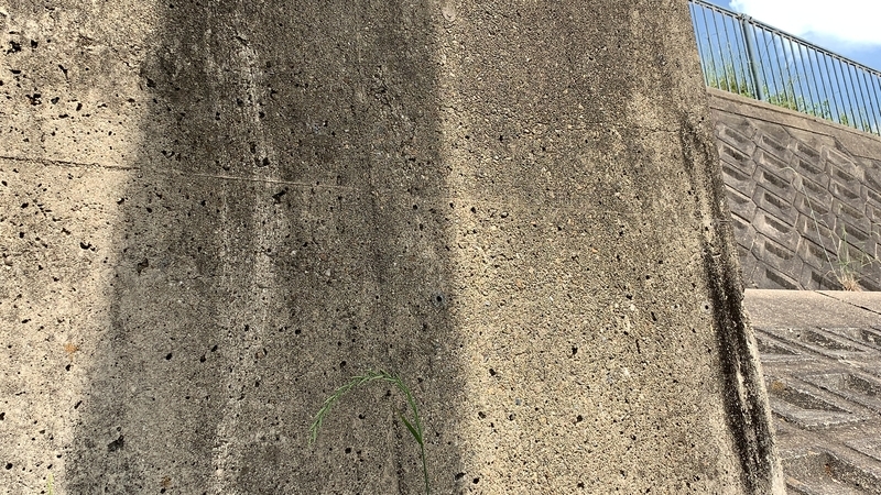 f:id:laquari:20191017120100j:plain f:id:laquari:20191017120100j:plain