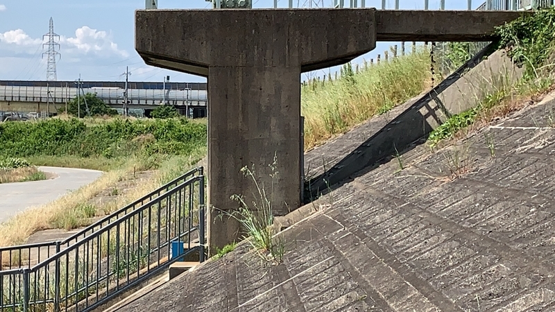 f:id:laquari:20191018094826j:plain f:id:laquari:20191018094826j:plain