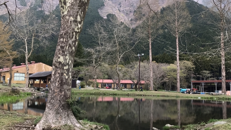 f:id:laquari:20191108202339j:plain f:id:laquari:20191108202339j:plain