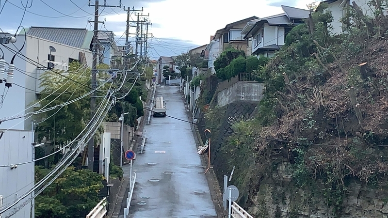 f:id:laquari:20191119203813j:plain f:id:laquari:20191119203813j:plain