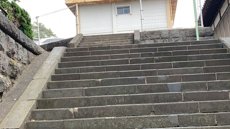 f:id:laquari:20191119204144j:plain f:id:laquari:20191119204144j:plain