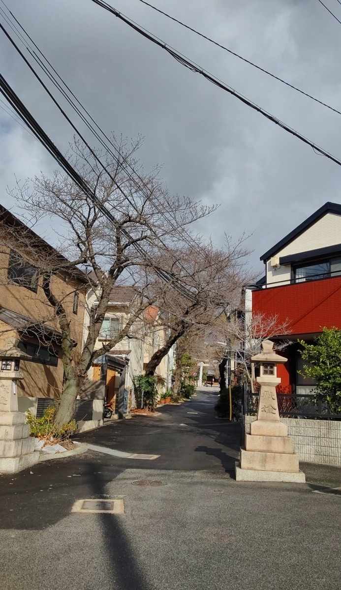 f:id:larkinthesky:20210119224550j:plain