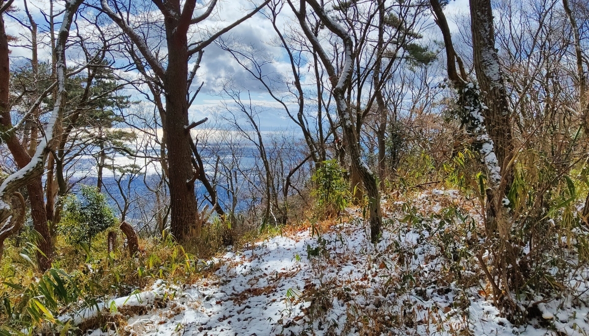 f:id:larkinthesky:20210121014755j:plain