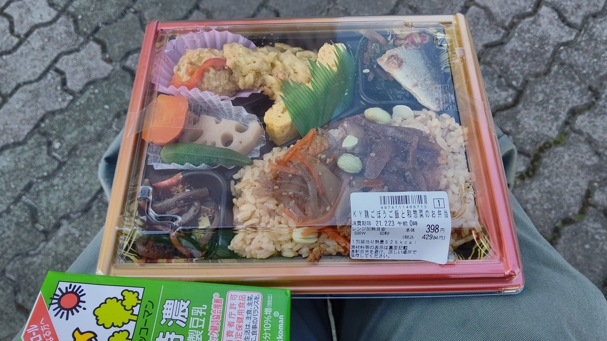 f:id:larkinthesky:20210225145032j:plain