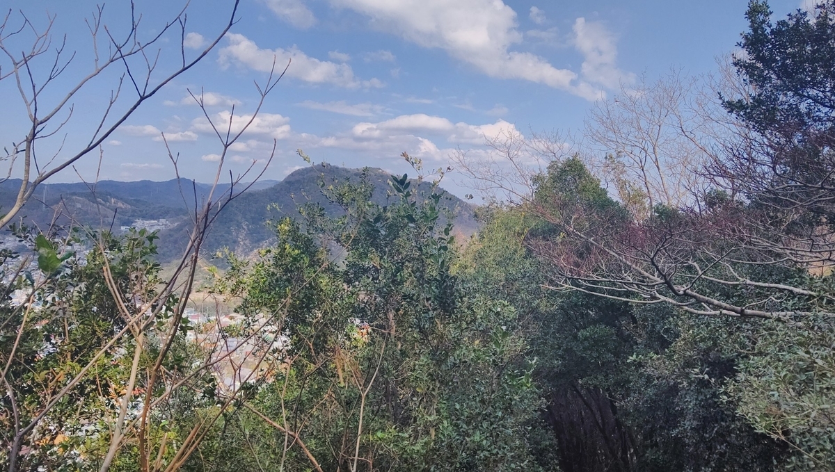 f:id:larkinthesky:20210301090441j:plain