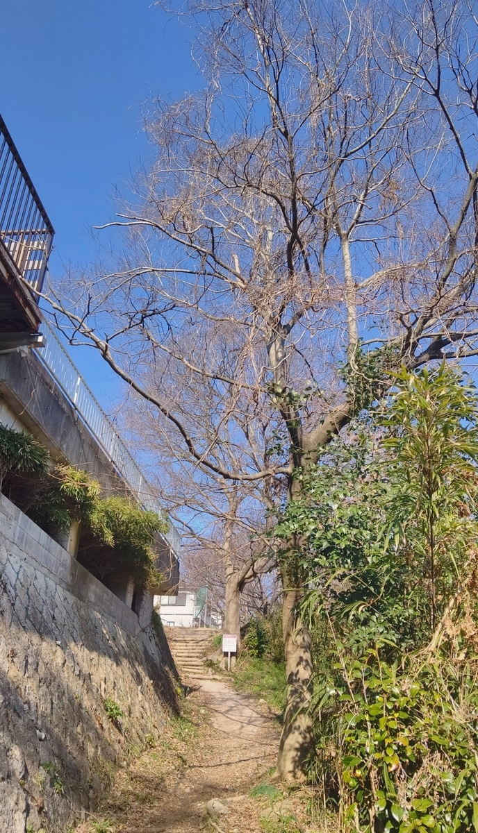f:id:larkinthesky:20210301094437j:plain