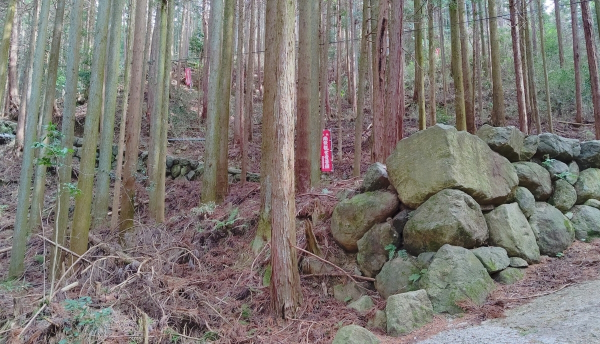 f:id:larkinthesky:20210301214253j:plain