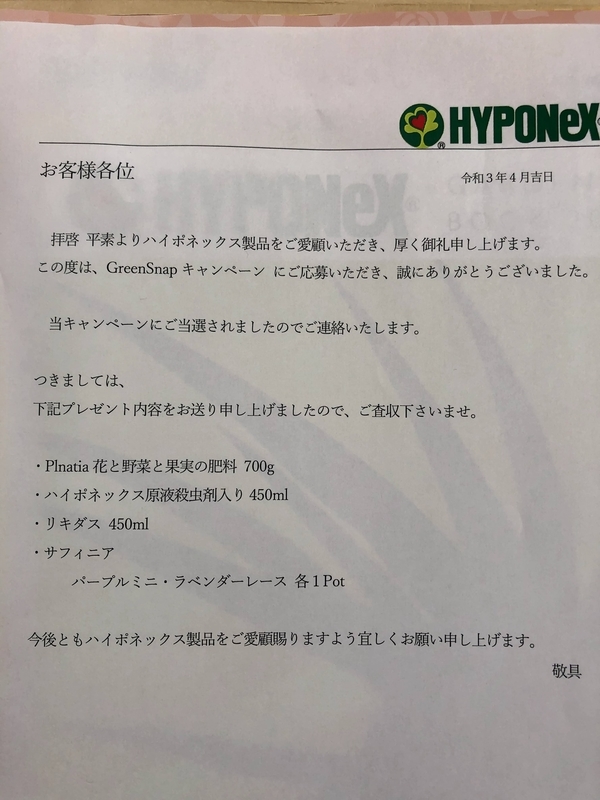 当選品が届く ハイポネックスジャパンのフォローアップキャンペーン なっきーの雨垂れ石を穿つブログ