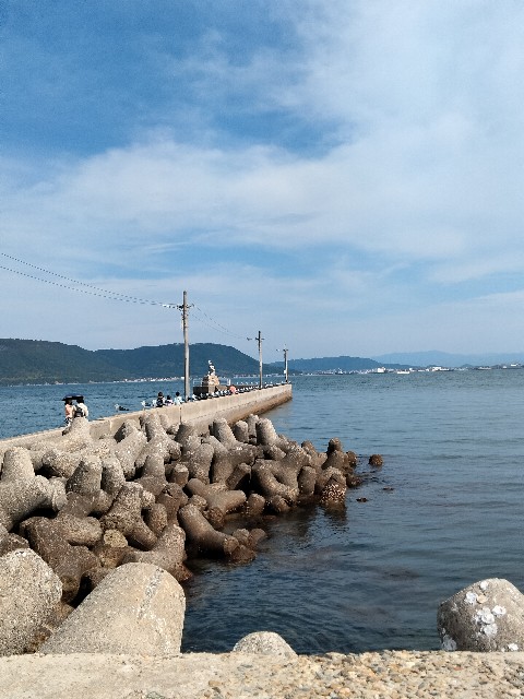 f:id:larosebleuemam:20220506155522j:image f:id:larosebleuemam:20220506155522j:image